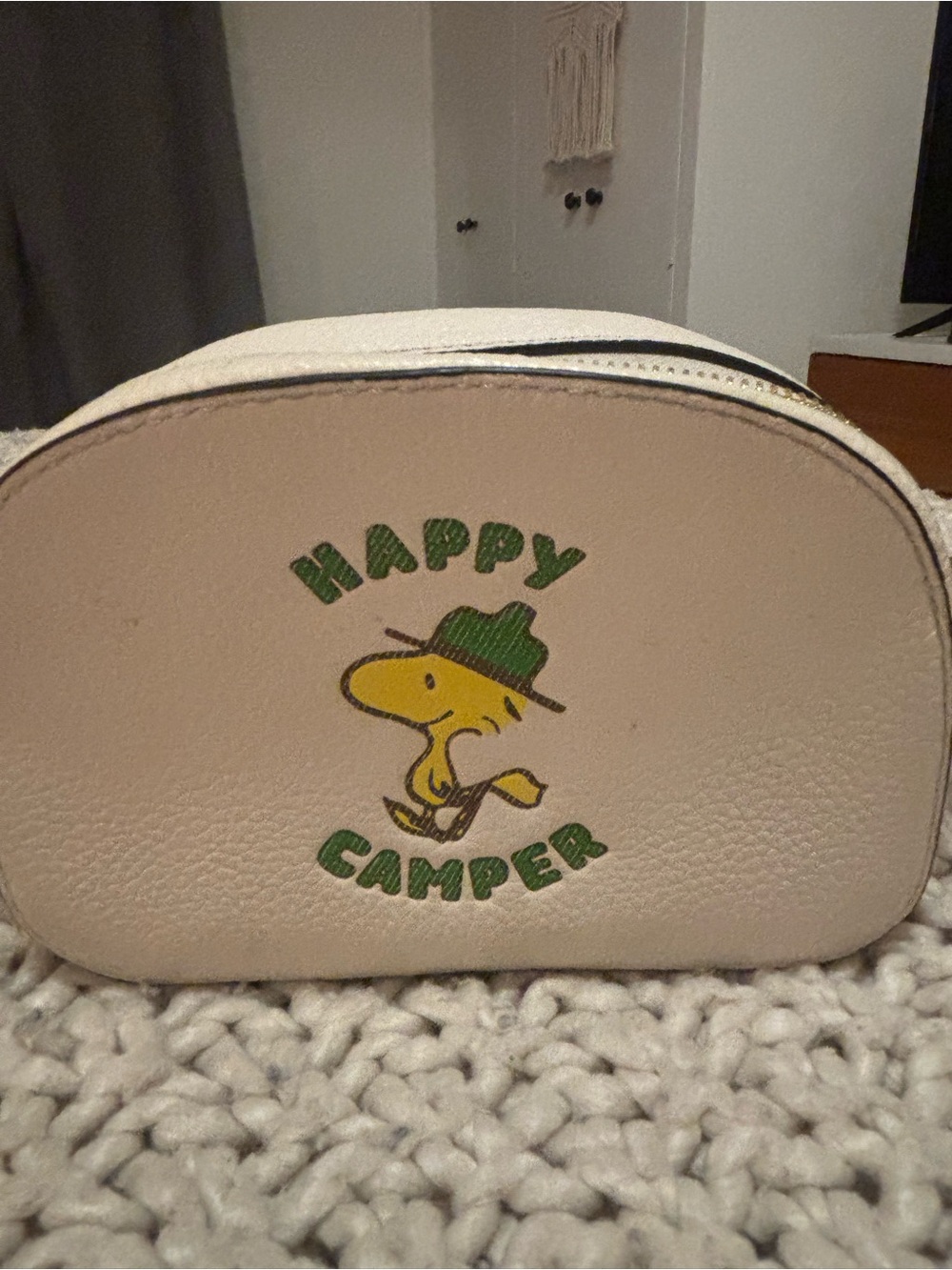 Coach Peanuts Woodstock Mini Serena leather Crossbody Happy Camper Handbag - Picture 5 of 13